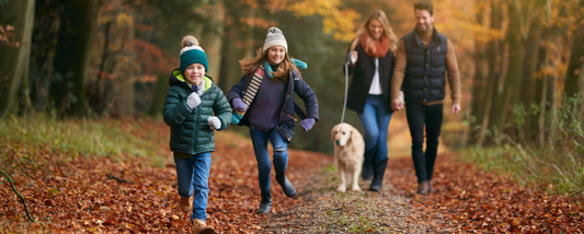 Essential Dog Health Tips Every Dog Parent Should Know