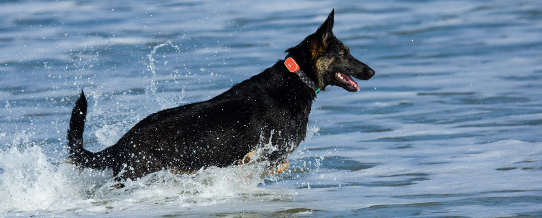 Link Accessories Round Up: Customizing Your Link System