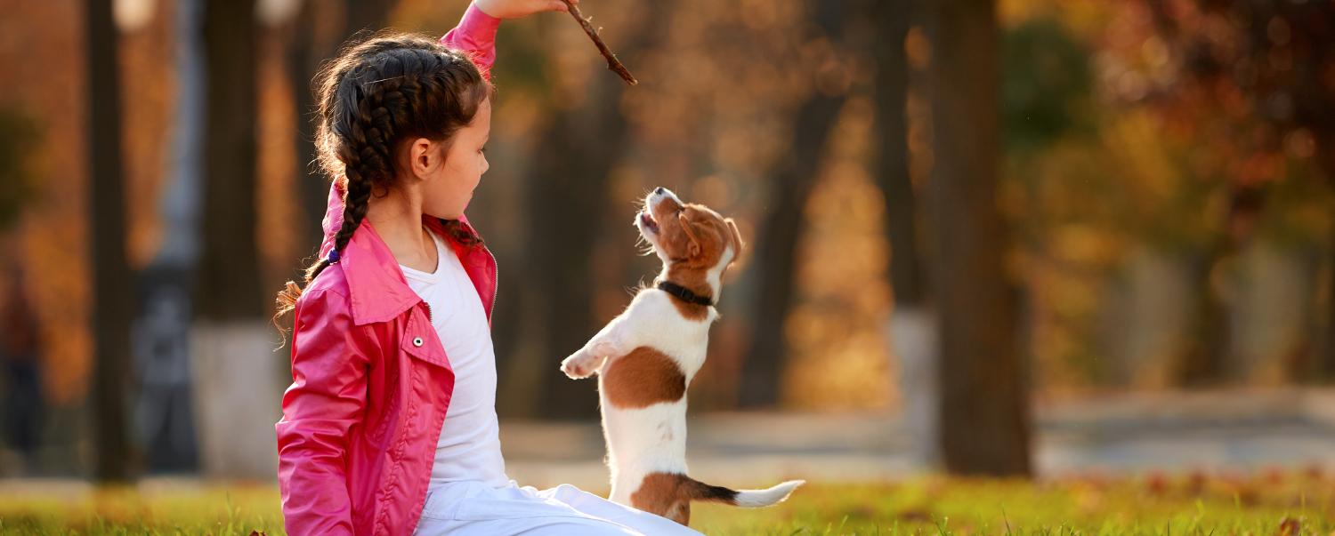 How to Choose the Best Dog Breed for Your Family