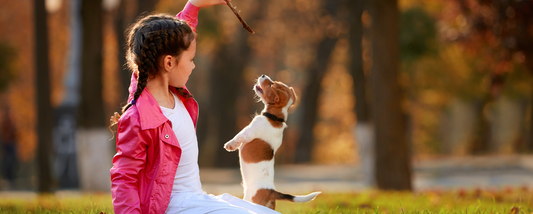 How to Choose the Best Dog Breed for Your Family