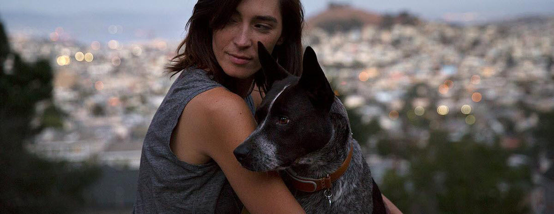 The Ultimate Device for Dog Owners