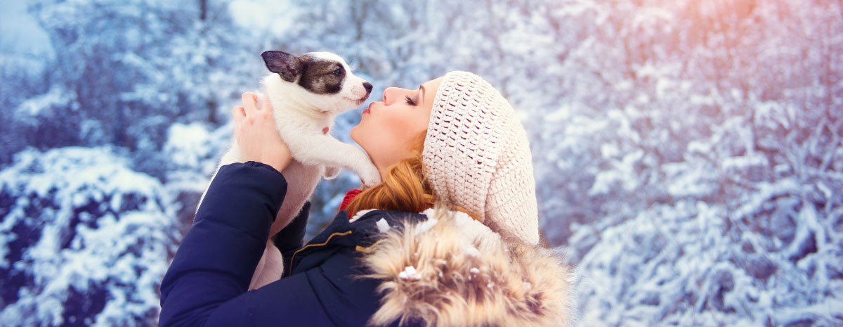 9 Easy Ways to Cheer up a Dog with the Winter Blues