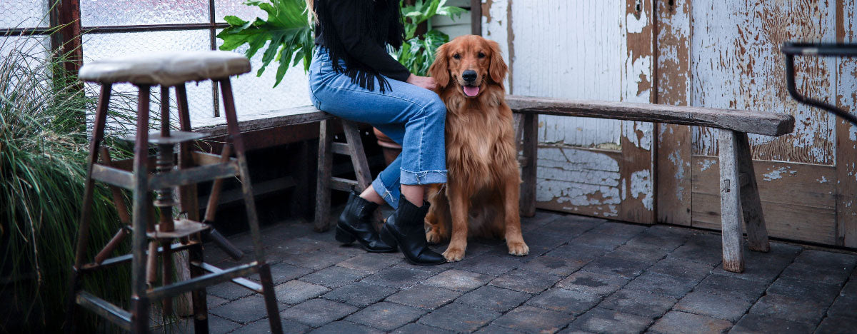 Mountain Charm: Dog-Friendly Asheville