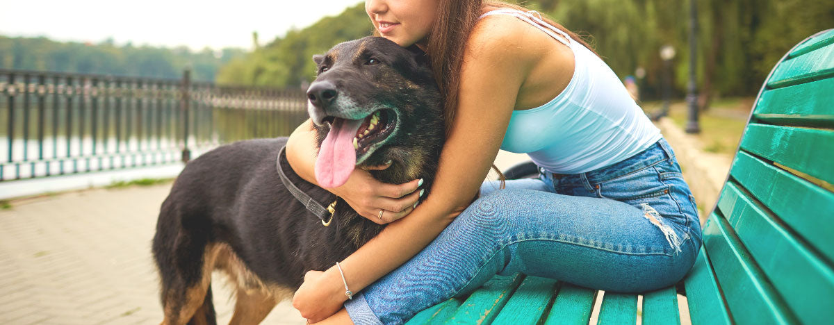 Your Summer of Fun With Fido & Friends