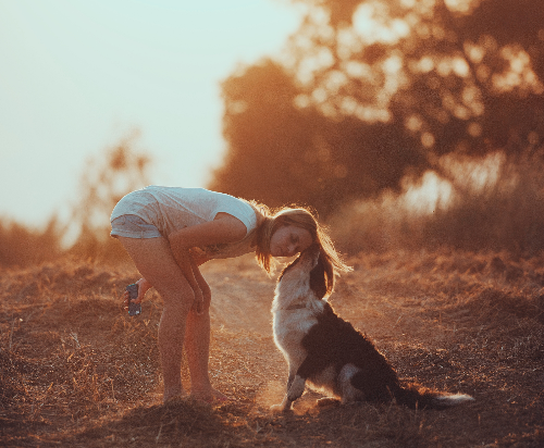How to Be a Better Dog Owner