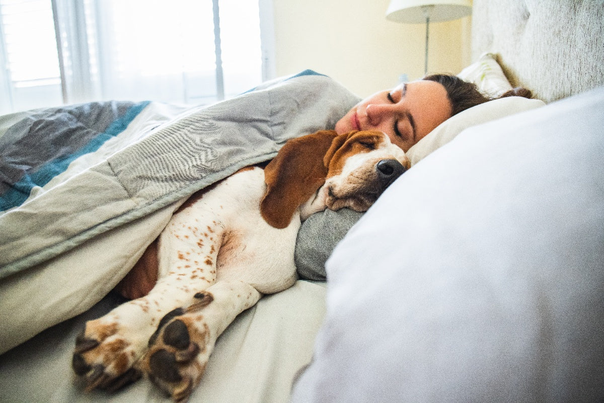 How to Enjoy the Extra Time With Your Dog