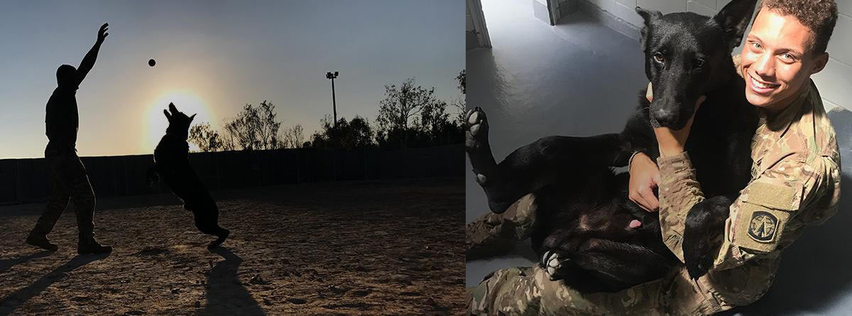 Celebrating Hero Dogs: Meet Jordan & Bob