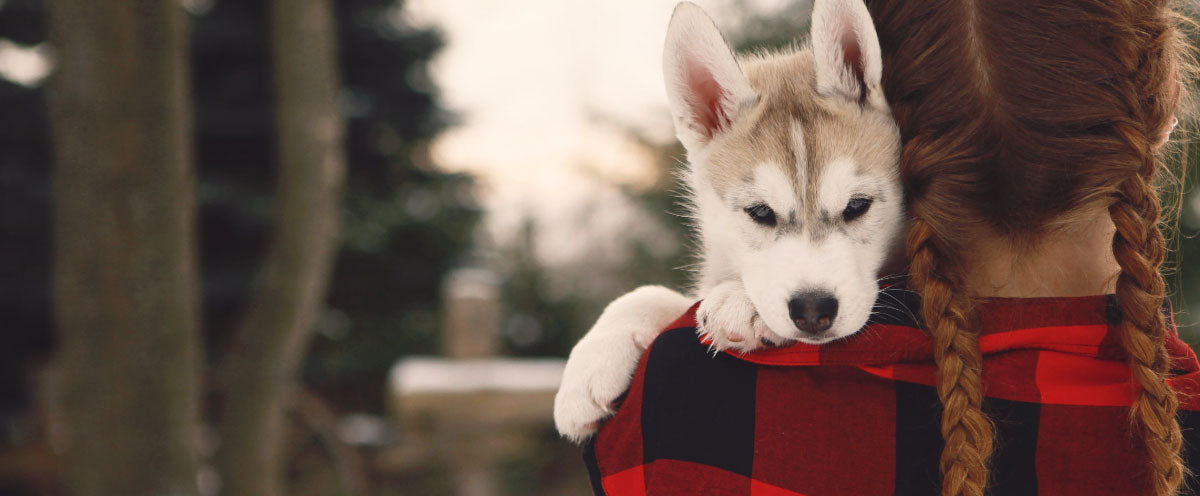 New Puppy Planning Checklist for a Perfect Start