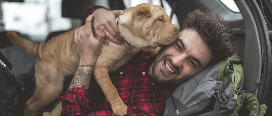 5 Products That Keep Your Dog Safe In The Car