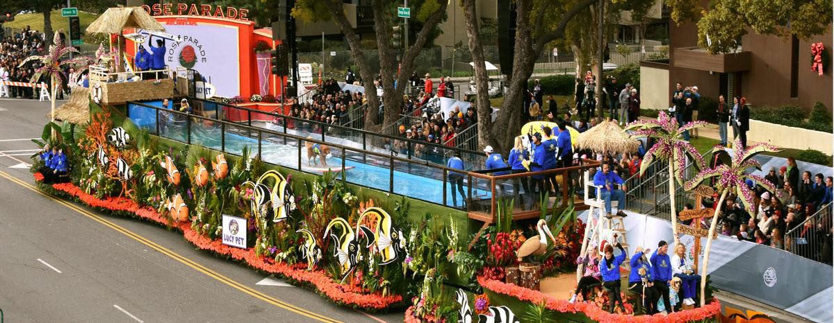 Dog Surfing Stars Steal the Show at the 2017 Rose Parade