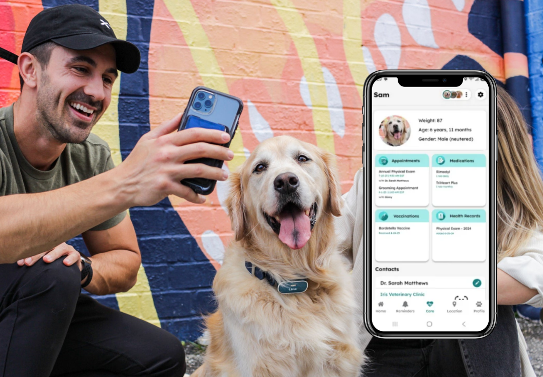 Man holding a phone showing a pet care app next to a dog in front of a colorful mural.