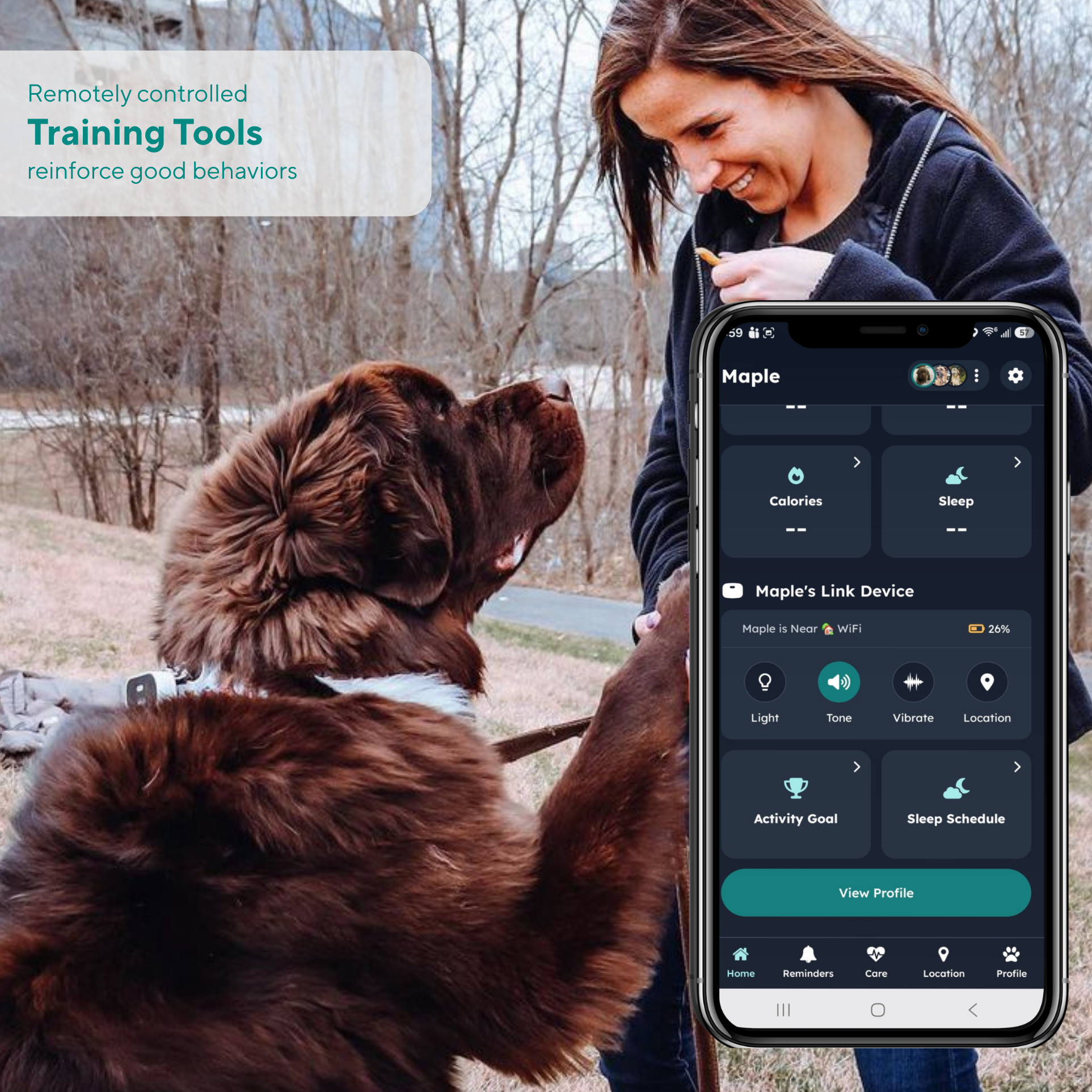 The Link Connected Pet Device