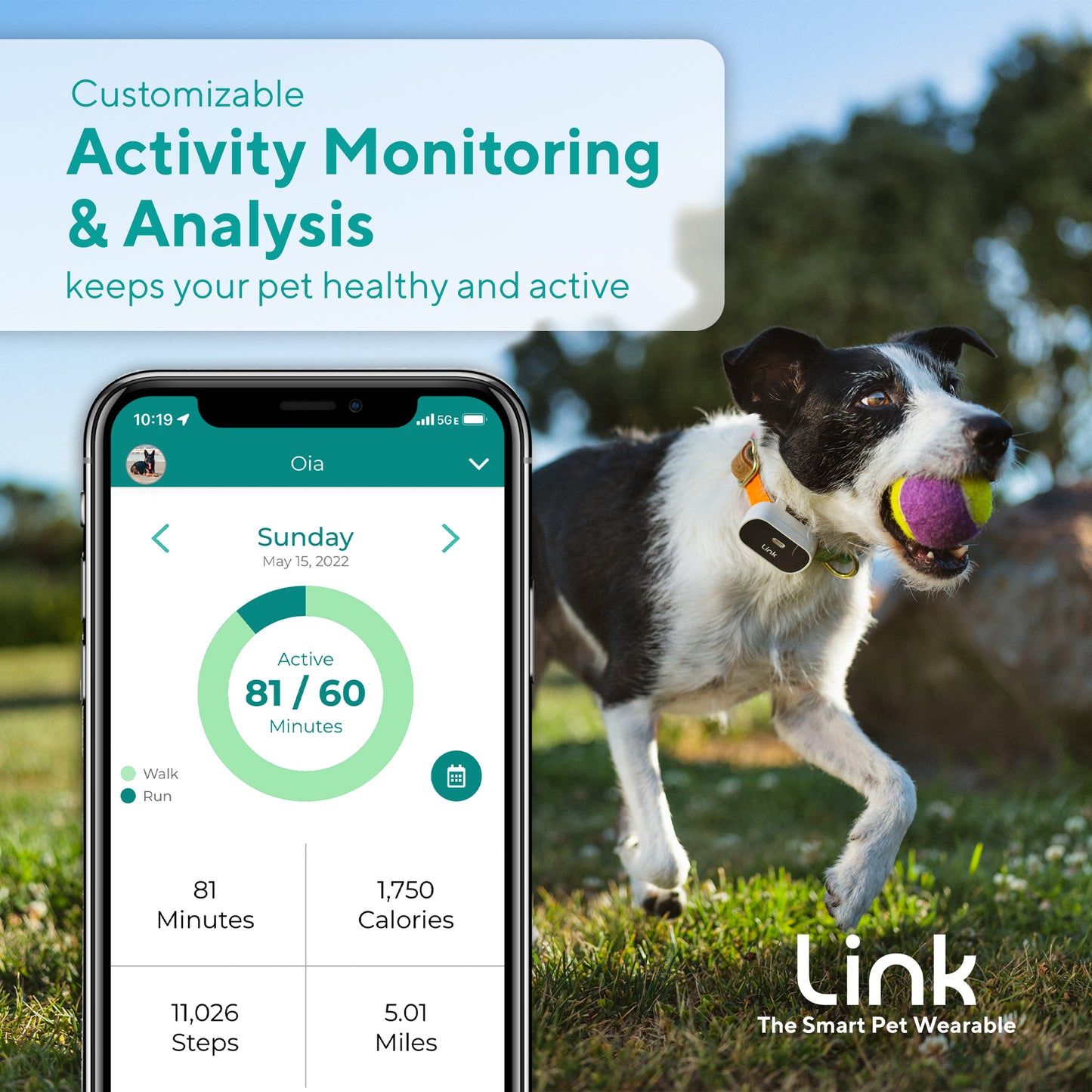 The Link My Pet Smart Wearable