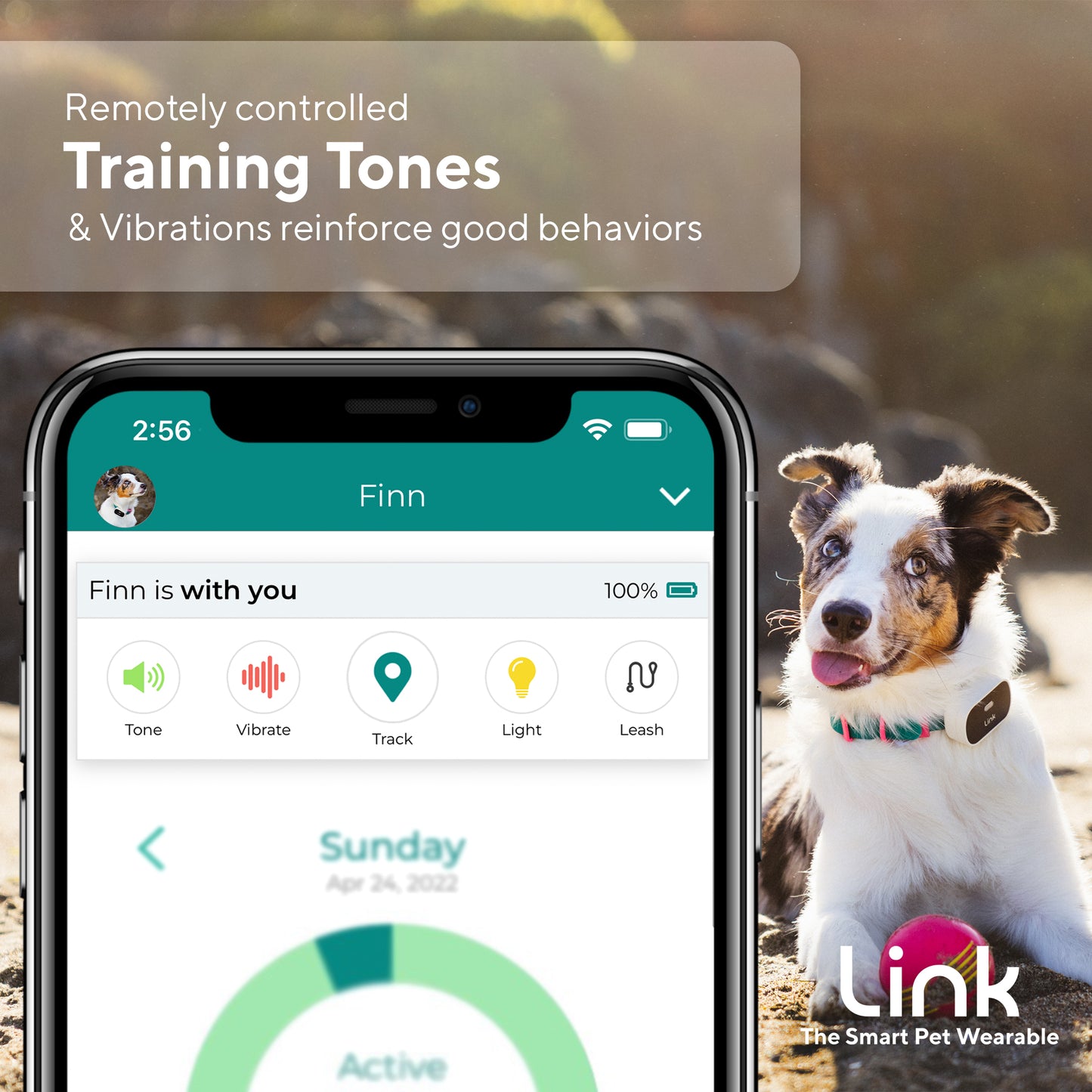 The Link My Pet Smart Wearable
