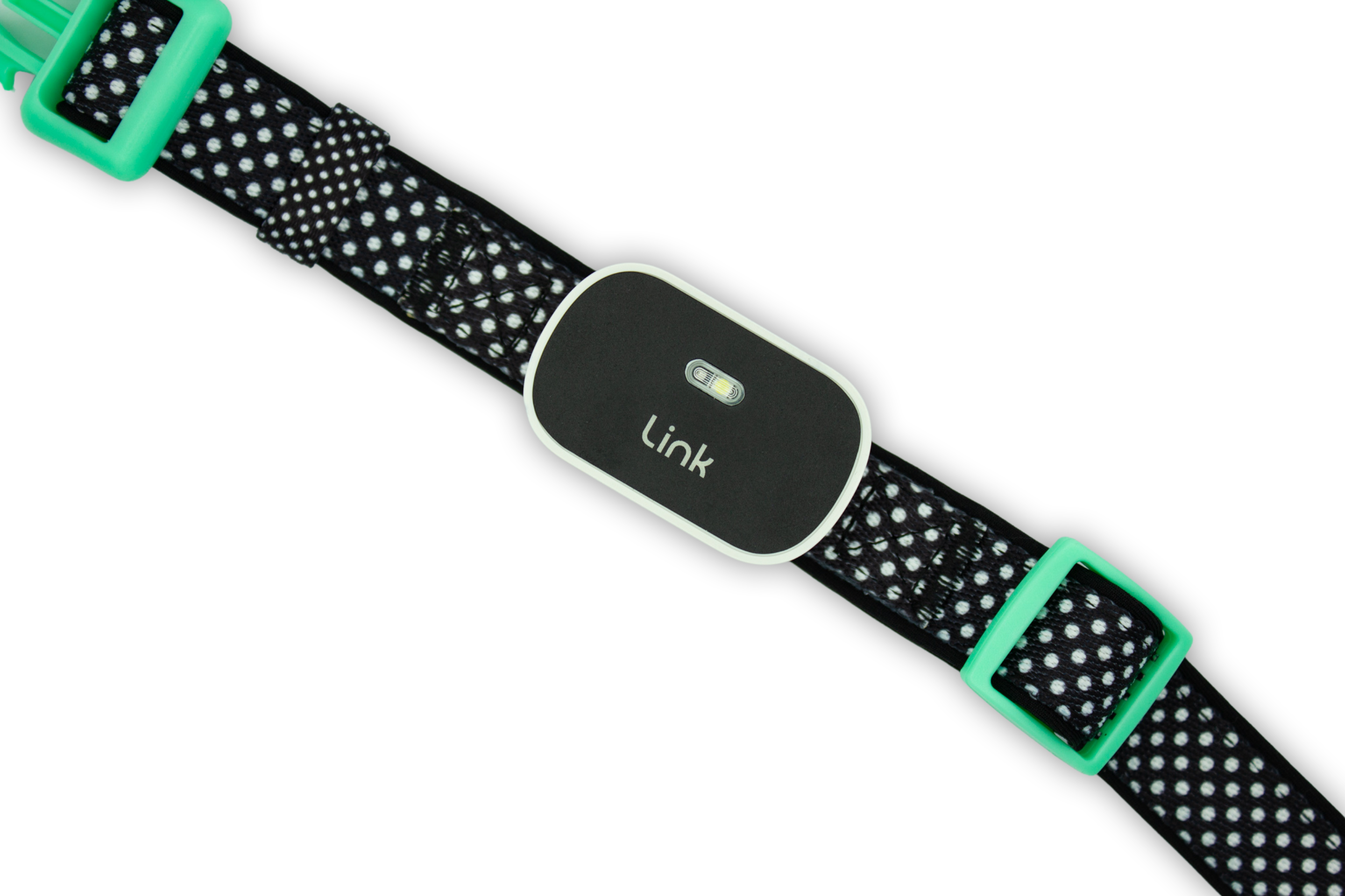 Link-Ready DOOG Collar