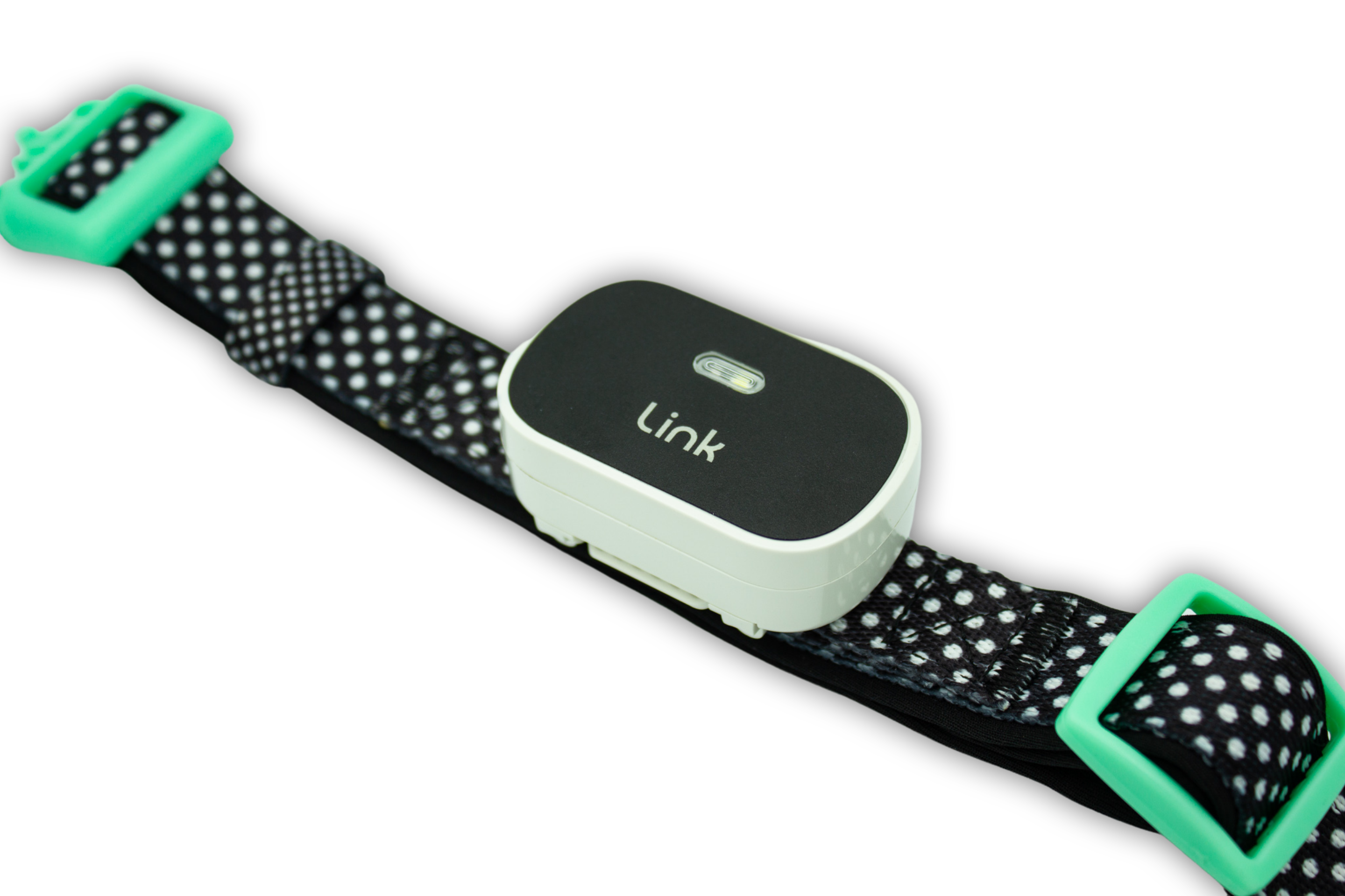 Link-Ready DOOG Collar