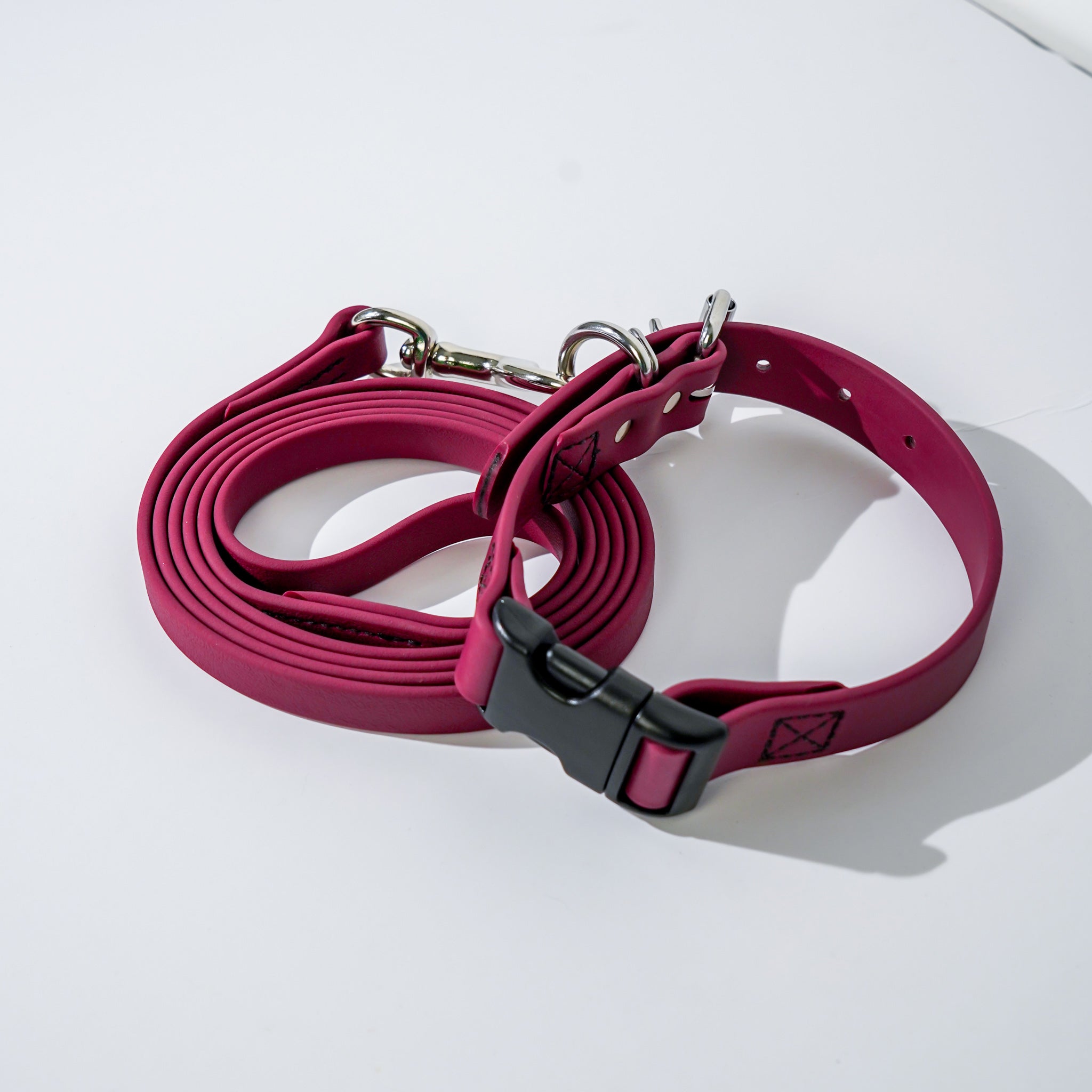 Link My Pet BioThane Collar & Leash Set