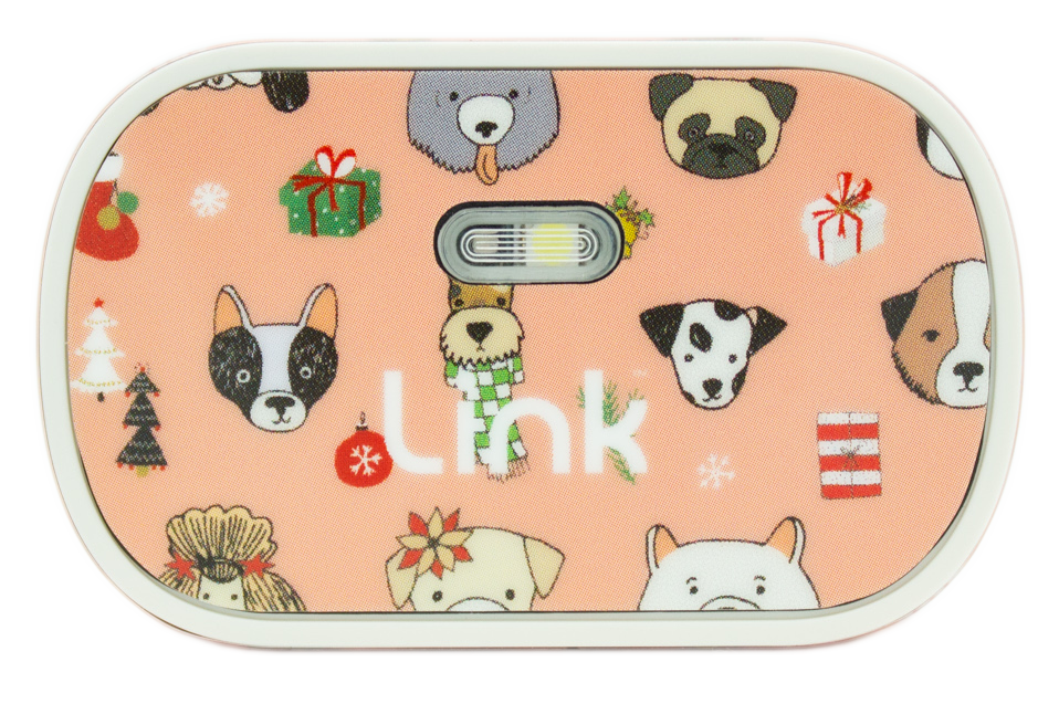 Holiday Wrap Bundle: Limited Edition