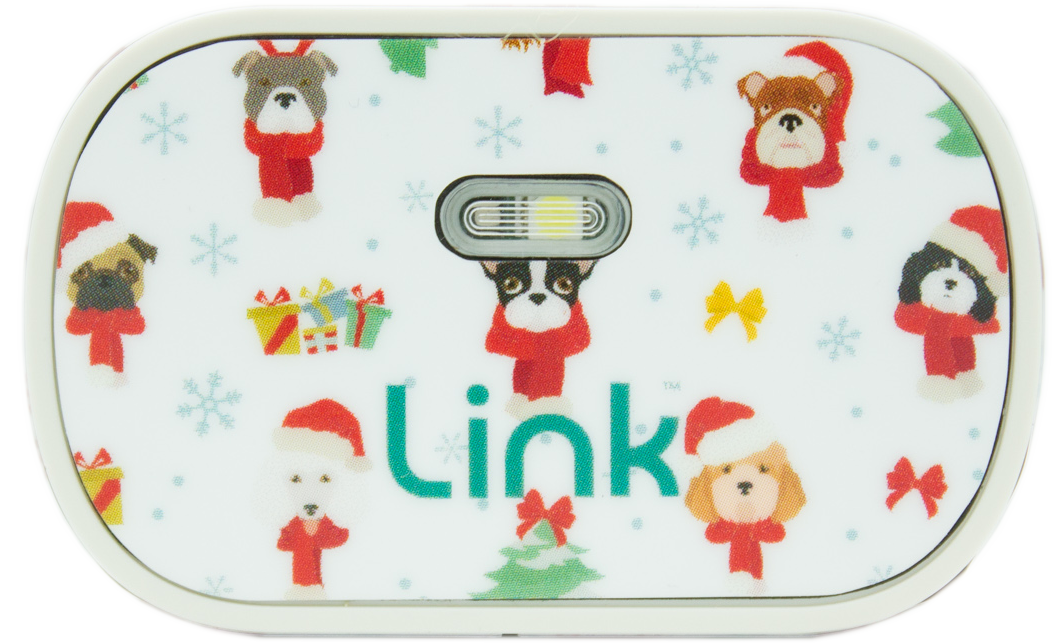 Holiday Wrap Bundle: Limited Edition