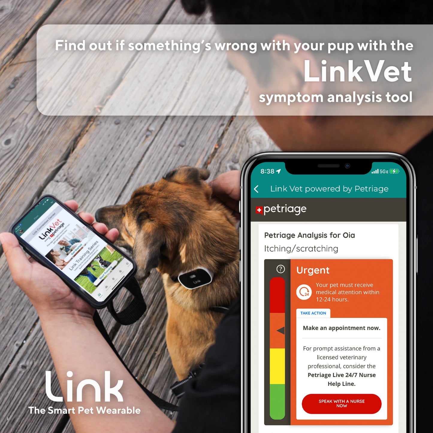 The Link Smart Pet Wearable