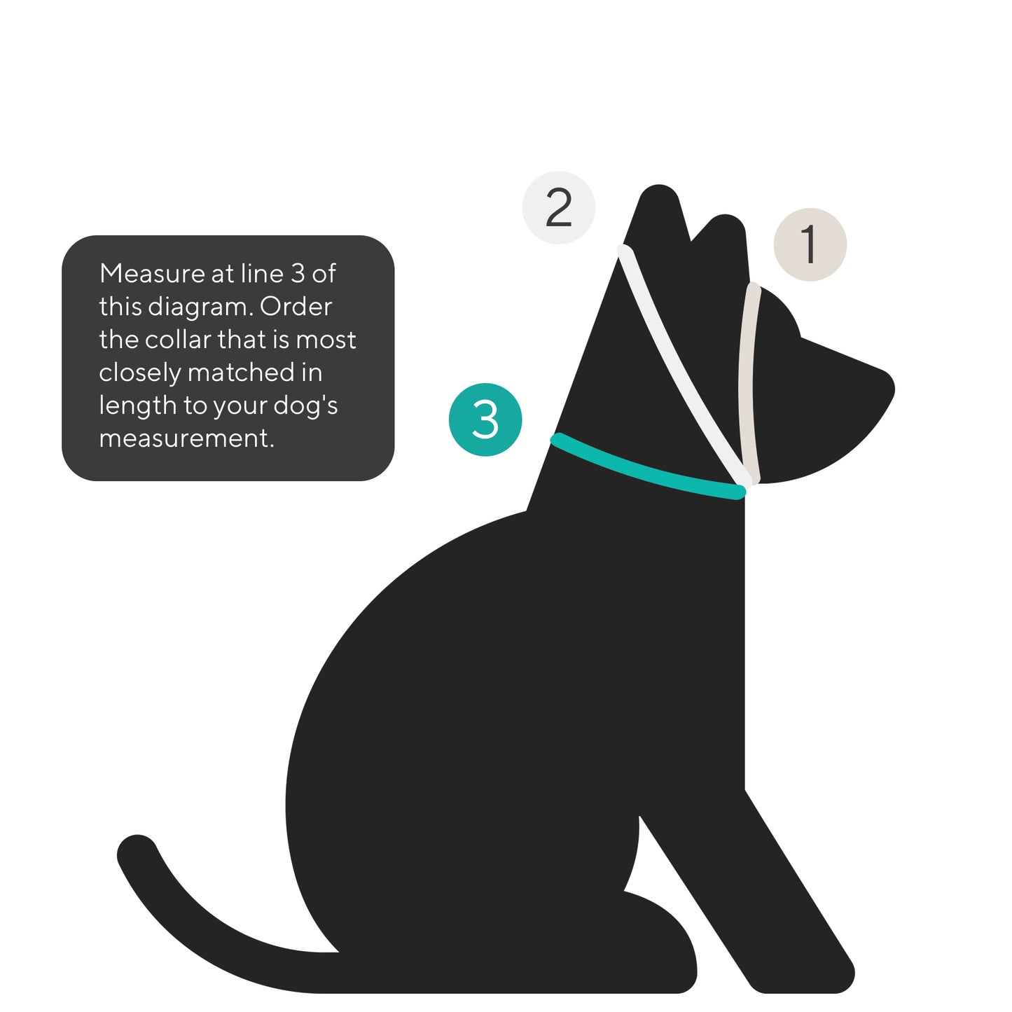 Link My Pet BioThane Collar