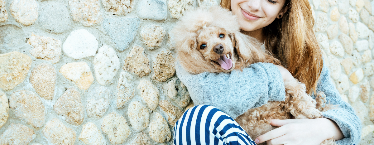 10 Life Changing Life Hacks for Dog Owners