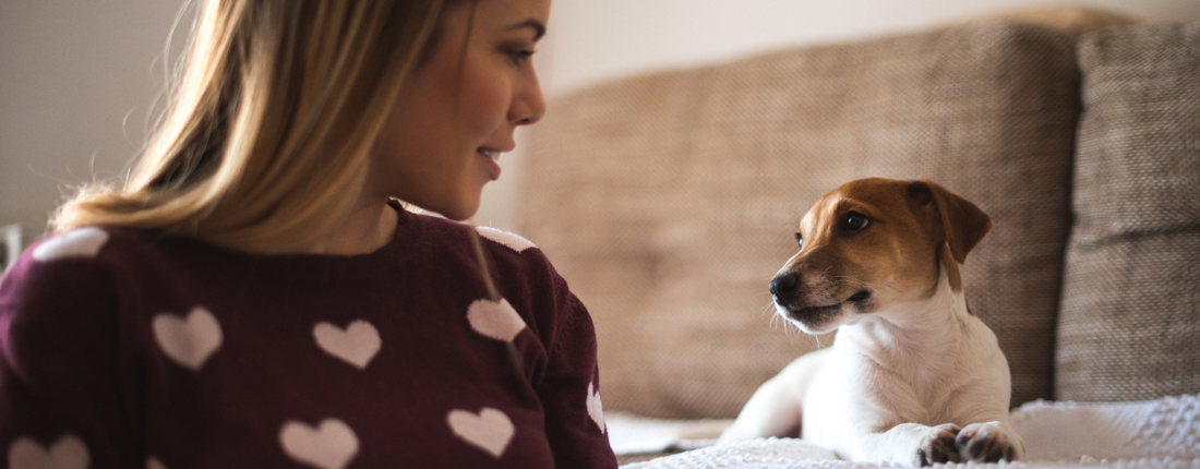 13 Signs Your Dog Loves You