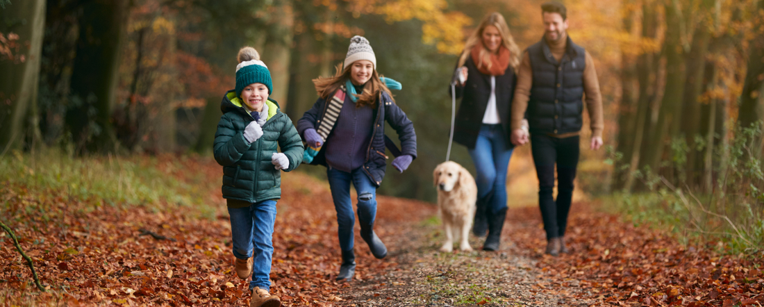 Essential Dog Health Tips Every Dog Parent Should Know