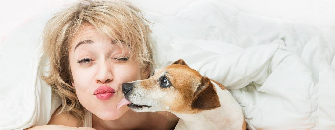 Meet 7 LINK Pack Moms and Their Pups