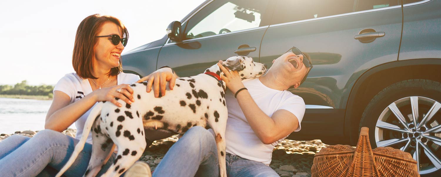 7 Fun Things To Do On Labor Day With Your Dog