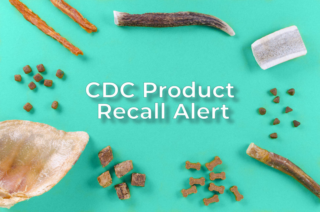 UPDATE: What You Need to Know About the Salmonella Outbreak in Dog Treats