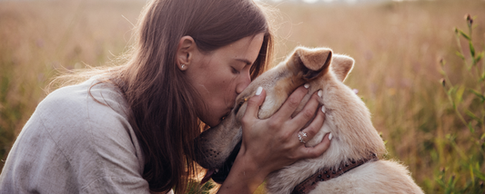 Owning a Dog Contributes to Our Health and Happiness