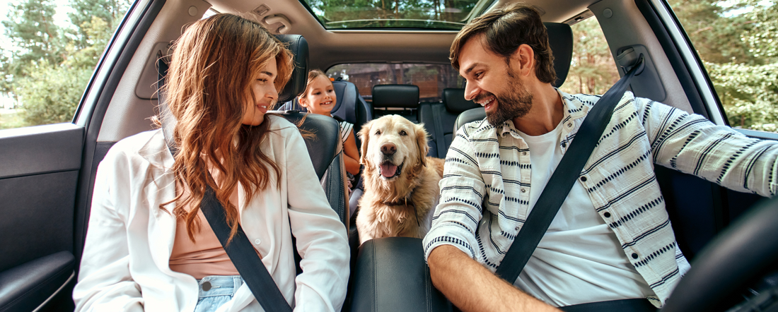 Holiday Travel Tips with Your Dog