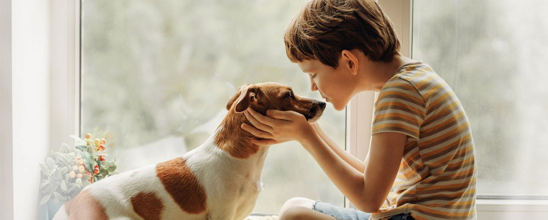 Why More People Are Adopting Pets During the Coronavirus Pandemic