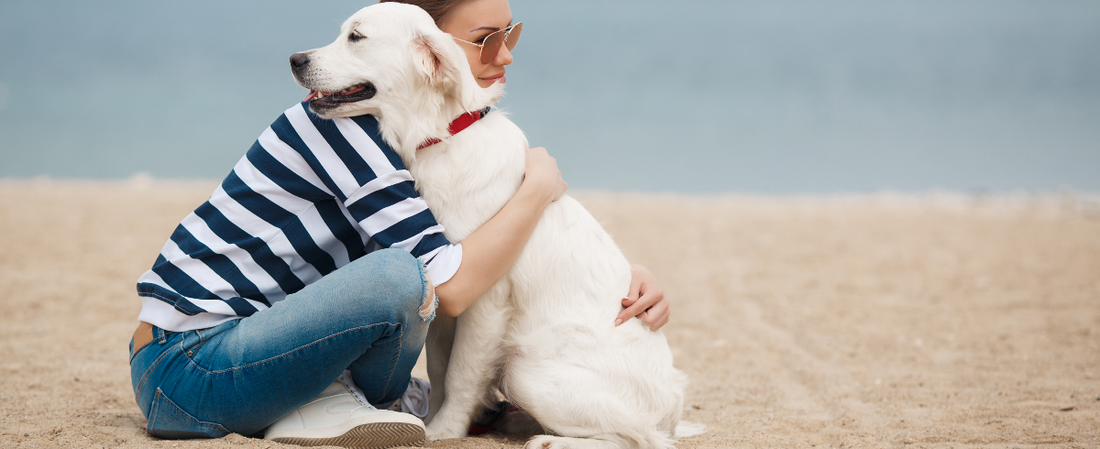 Be More Like Your Dog: A Lesson in Mindfulness