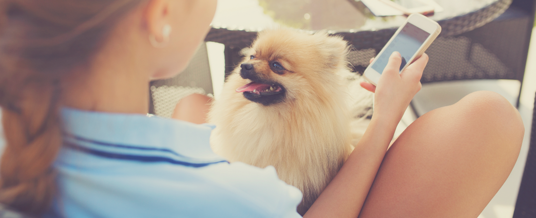 9 Nifty Mobile Apps For You & Your Pup