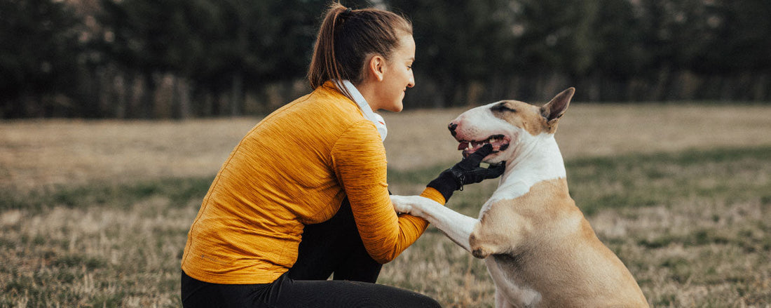 From Chunky to Hunky: How to Help Your Dog Lose Weight