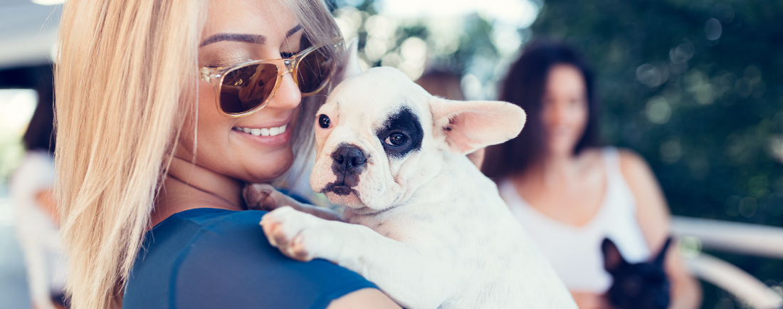 Safe BBQ Tips For Dog Parents