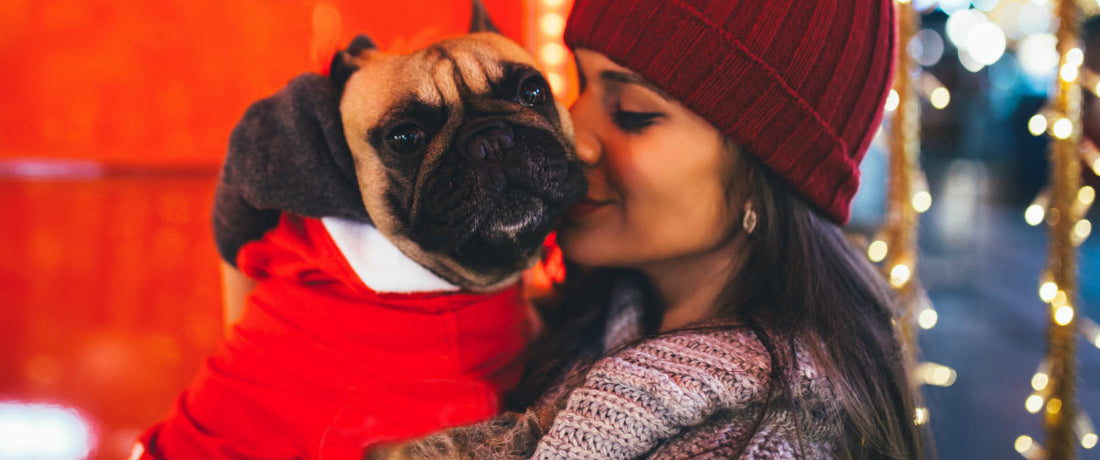 How to Celebrate Year of the Dog