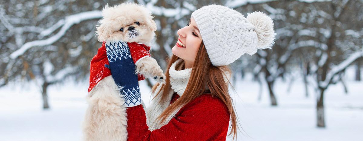 D.I.Y. Doggy Sweater