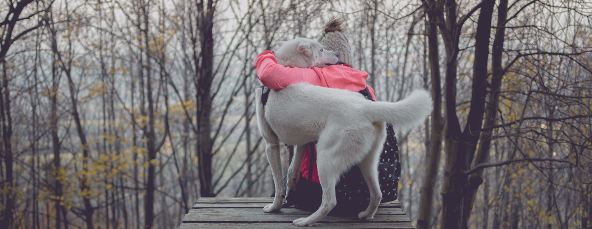 Do Dogs Have a Sixth Sense?