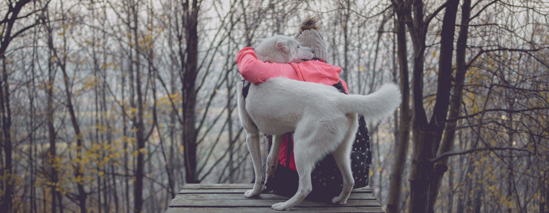 Do Dogs Have a Sixth Sense?