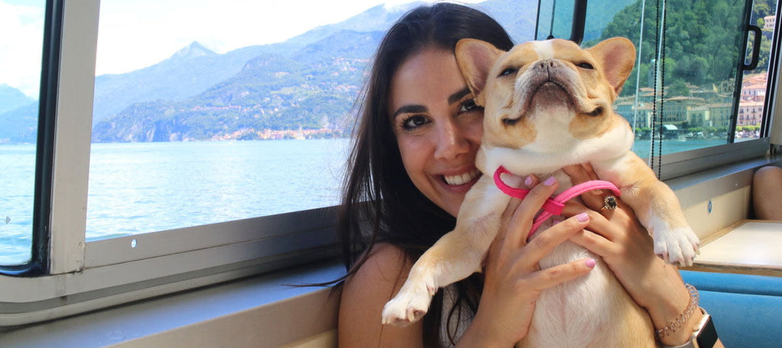 The Dog Agency: Turning Our Pets Into Celebrities