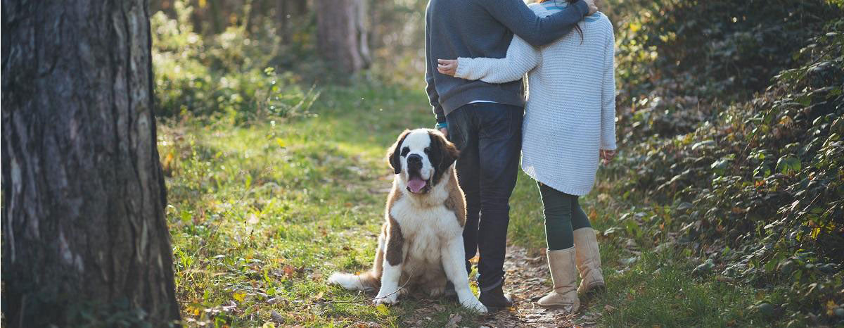 7 Doggie Dates That Won't Break The Bank