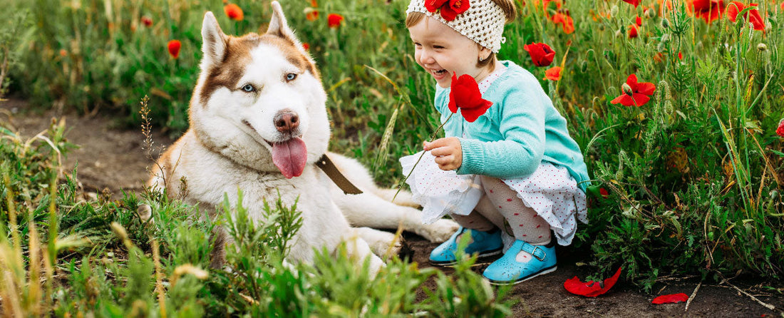 Can Your Dog’s Germs Help Improve Your Baby’s Health?