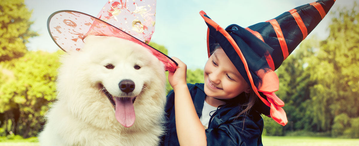 The Perfect Pair: Dog & Owner Halloween Costumes