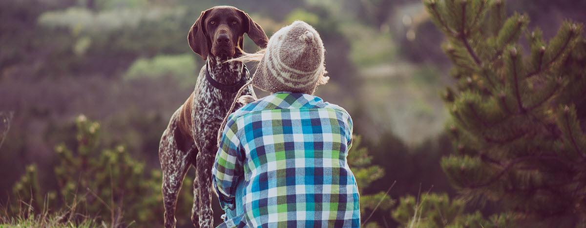 5 Incredible Dog Parks Across The U.S.
