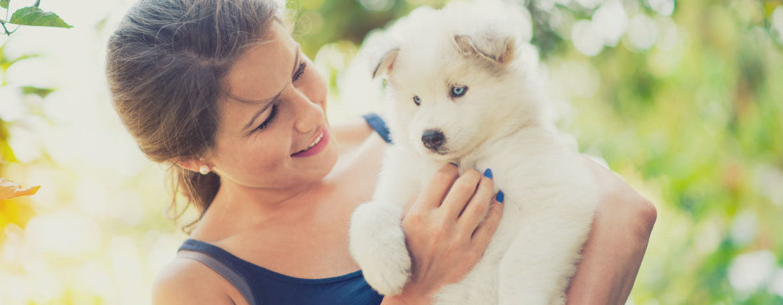 Fur-ternity Leave: The Work Benefit Dog Lovers Need