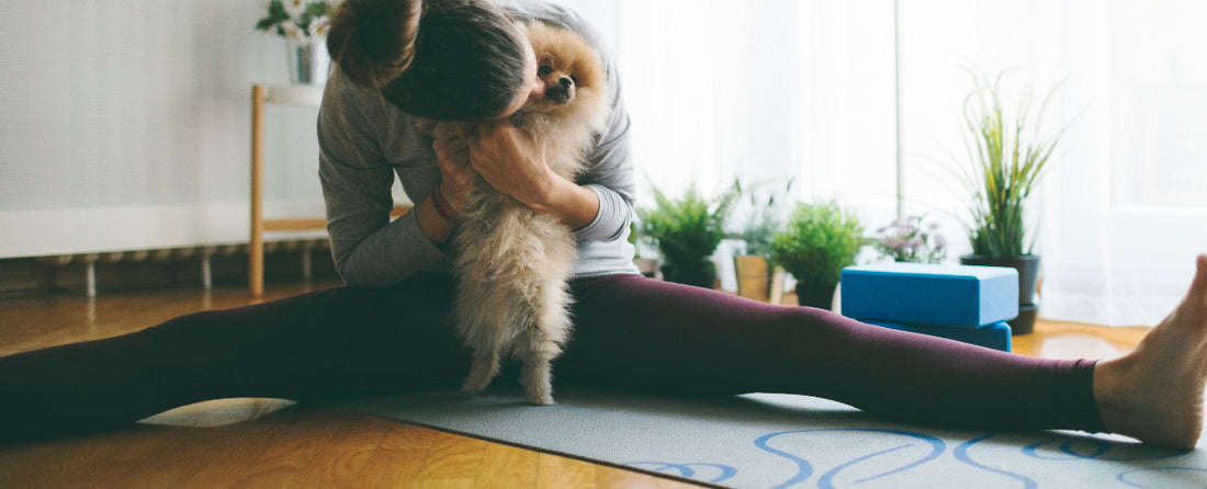 Dogis and Yogis: All About Dog Yoga