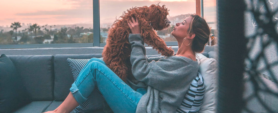 Who’s a Good Dog? The Science Behind Canine Baby Talk